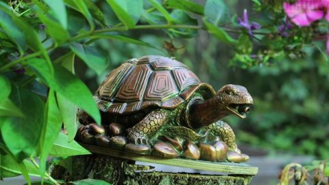 Если ты любишь лето-посмотри это видео!!!Атмосфера лета.