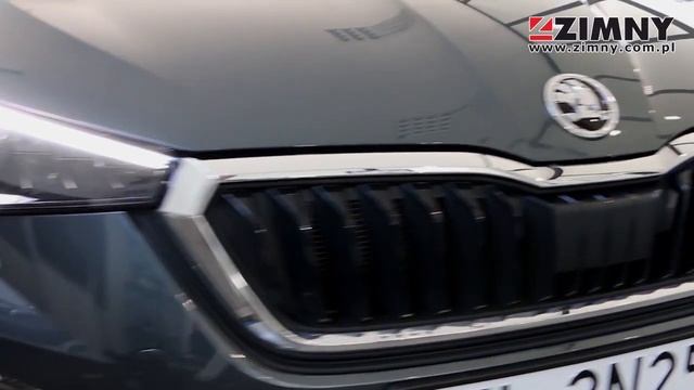 ŠKODA SCALA - Zimny Auto смотреть онлайн