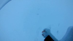 Новая Ладога