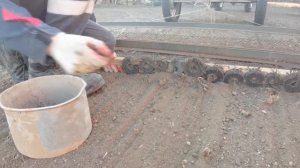 Сажаем газон своими руками. В чем сложность?