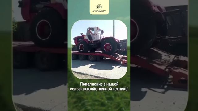 Имущество АгроИнвестРФ гарантирует выплаты инвесторам Инвестиции в чеснок Полевые работы