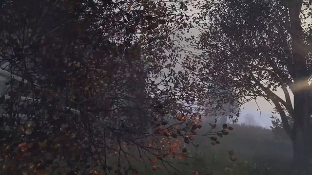 МЫ - КЛАНОВЫЕ ВОРЫ! Самый умный рейд без затрат. Лесная крепость - DayZ