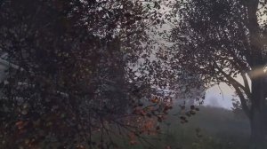 МЫ - КЛАНОВЫЕ ВОРЫ! Самый умный рейд без затрат. Лесная крепость - DayZ