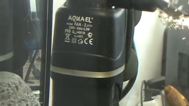 Аквариум Биодизайн РИФ 60, цвет швейцарская груша смотреть онлайн