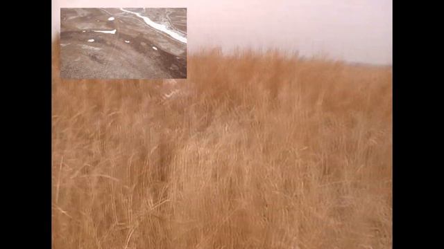 Тайна загадочных кругов на полях, болотах под Хабаровском. Съёмки с воздуха и внутри аномальной зон