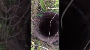 Бездонная яма!