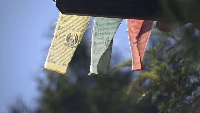 Вы есть сама тишина. Медитация с Муджи. Синхронный перевод. смотреть онлайн