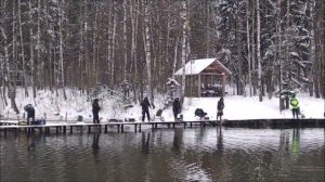 После запуска работает железо. Клёвое место, Лосиный остров, спорт-зона.