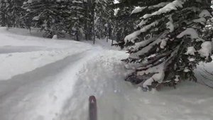 НОВОГОДНЯЯ СКАЗКА, ШЕРЕГЕШ, ФРИРАЙД, СКИТУР