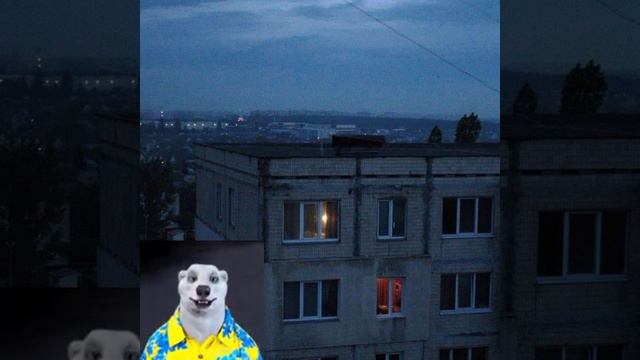 Ходилкин показывает мои картинки в галерее за 8 декабря😱😱😱#ходилкибродилки #ходилкин #белыймедведь