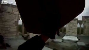 Как атакуют соколы