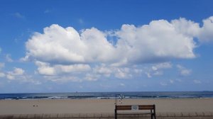 Have a nice day, friends! 🤽♀️⛵🌞|#video #shorts #summer #beach #nature #happy #love #reels #rutube