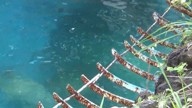 イっちゃんママの噛み方💗優しくしてね【天王寺動物園】