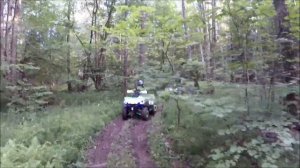 Боевое крещение Авантис Форестер.