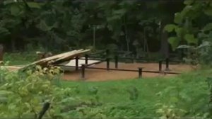 максимальное расстояние между винтовыми сваями