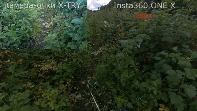 Бензокоса Hundai z525. Камеры Insta360 ONE X и X-TRY XTG37X ULTRA. Сбор малины в Новосибирске. смотреть онлайн
