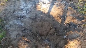 Удаляем пни и корни с участка.