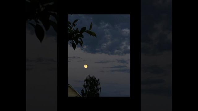 19 сентября 2023 г. смотреть онлайн