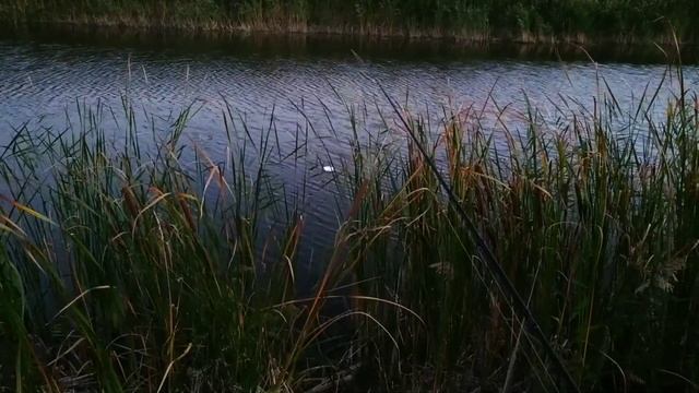 ЩУКА НА ВЕРТУШКУ / С Ночевкой на реке НУРА. смотреть онлайн