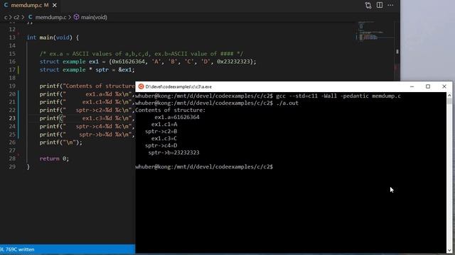 Examining Memory Byte by Byte in C смотреть онлайн