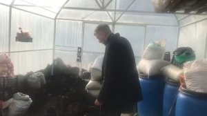Чекалкин орех СПб Питер Санкт-Петербург