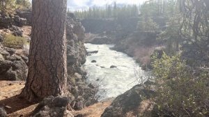 EPIC & MAJESTIC Dillon Falls Volcanic Canyon (59 of 84 - Deschutes River Trail - Central Oregon)