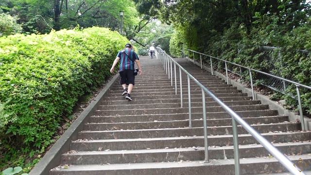 🚘OSAKA VLOG - PART 2 | VERY CHILL VIBES | SAMURAI CASTLE | ROAD TRIP🚘 смотреть онлайн