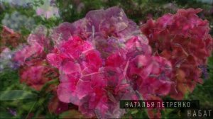 Красивые Цветы. ФЛОКСЫ. Фото с названиями сортов. Слайд-шоу №1