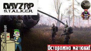 Dayz STALKER | Дейз Сталкер | РАД #dayz #stalker #дейз