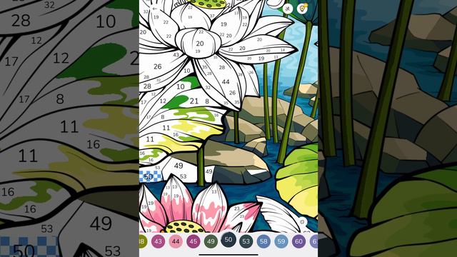 Zen Color App Paint By Numbers Koi Pond Water Lilies Colour With Me #relaxing #video #coloring