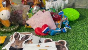 Посылка от The laika Schleich!! Распаковка)