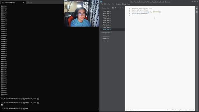 Learn Python With Me: PCC4 Example 05 смотреть онлайн
