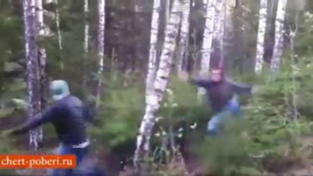 Вальщики леса