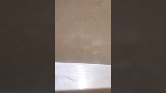 Штукатурка сан-узла и коридора под замывку смотреть онлайн