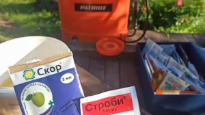 Летняя обработка сада в июне и начале июля. Препараты от болезней и вредителей, листовая подкормка.