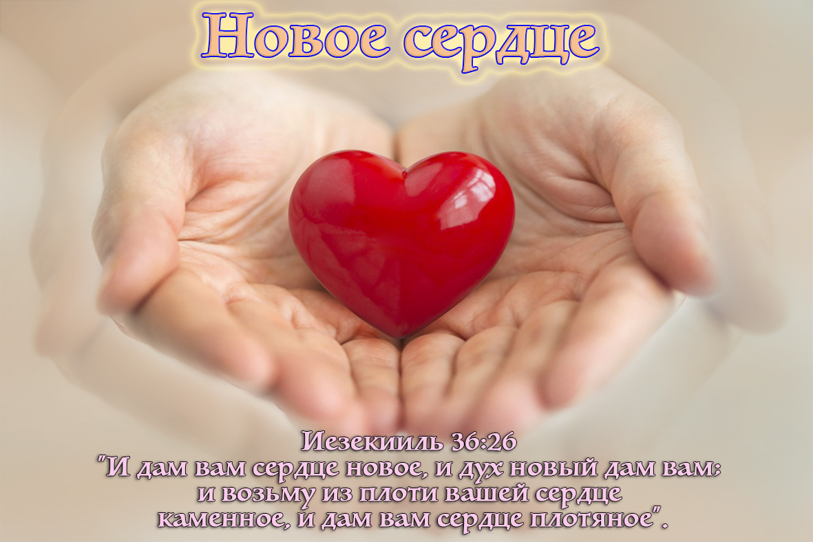 Новое сердце. Сердце плотяное. И дам вам сердце новое. Сердце лайн.