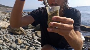 Как приготовить заваривать Йерба Ма́те (матэ). Классический способ с сухой горкой пошагово.