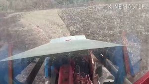 Трактор ЮМЗ с самодельным лущильником!