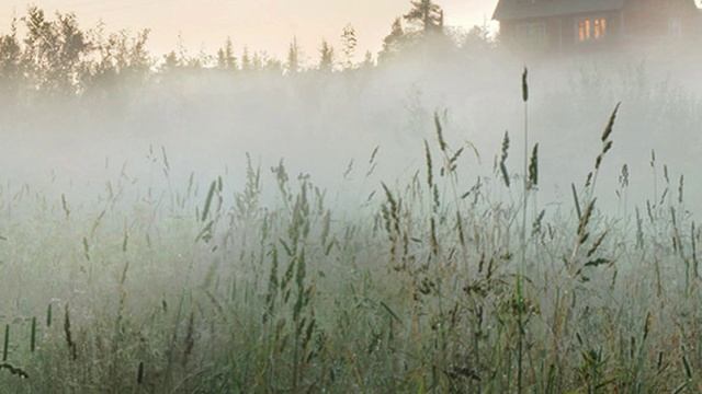 Наталья Колесникова. Читает Владислав Витковский смотреть онлайн