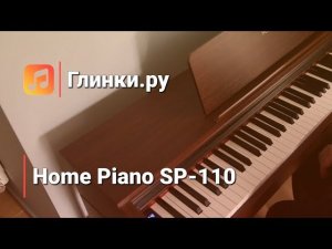 Подключение микрофона и другие функции Home Piano SP-110 | KnowHow: видео-инструкция