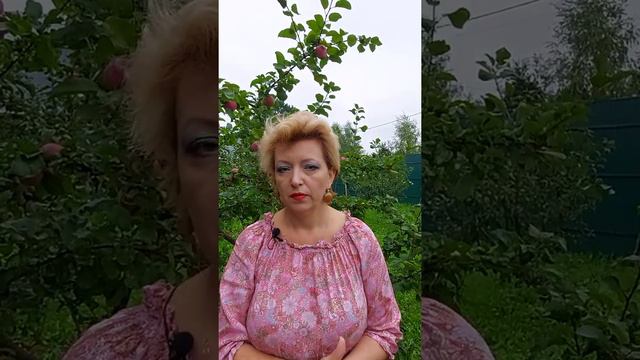 Сельскохозяйственная микроперепись 2021. Что это? Часть 3. смотреть онлайн