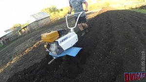 Посадка основной картошки мотоблоком Нева, нарезка борозд, фрезеровка под картофель 2019