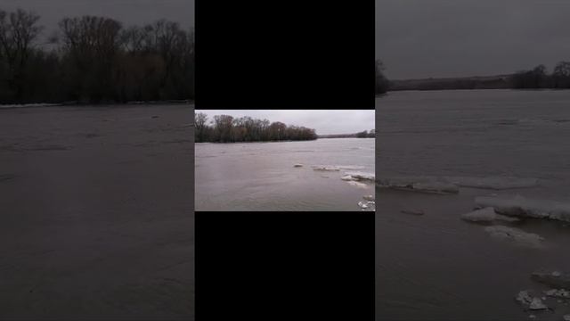 г. Воронеж, река Дон, разлив, 12.03.2023 года смотреть онлайн