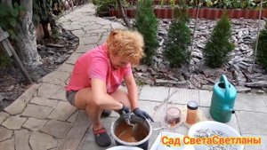 Часть1.Мастер класс.Бетонные шары своими руками.Ландшафтный дизайн.Красивый сад.МАФы в саду.Дача.