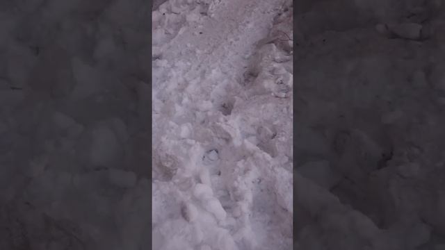 Пешеходная дорожка - Прохождение 2019! Вэлкам Саратов) смотреть онлайн