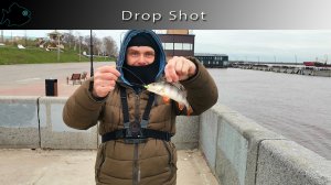 Дроп шот ( Drop Shot) Набережная Северной Двины