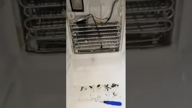 Ремонт холодильника Samsung. Замена тэна.