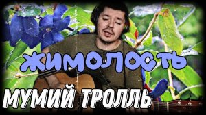 Мумий Тролль - Жимолость (cover by Свой Своим)