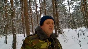 Лес и нотариус как теперь можно будет пилить лес на дрова