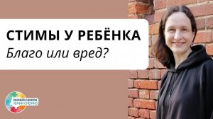 Опять о стимах. Аутизм, ЗПР, ОВЗ.